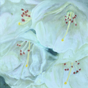 go to the member gallery for Mick Sargent