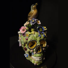 go to the member gallery for Susan Elliott